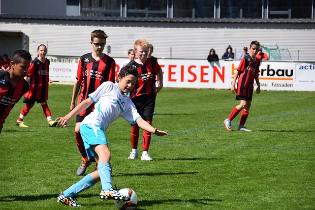 是天赋的象 是天赋的象