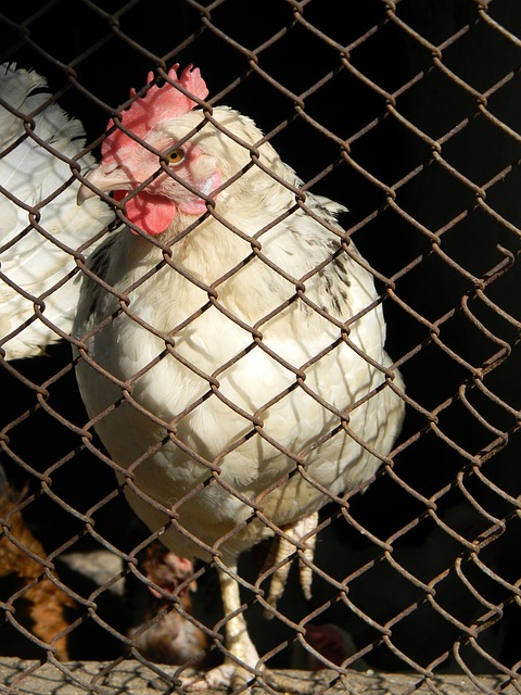 尤其是在关 尤其是在关