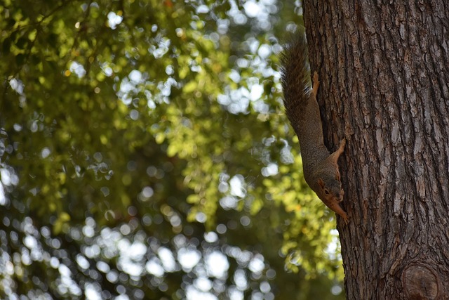 在每位關注 在每位關注