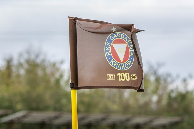 了极大的场 了极大的场