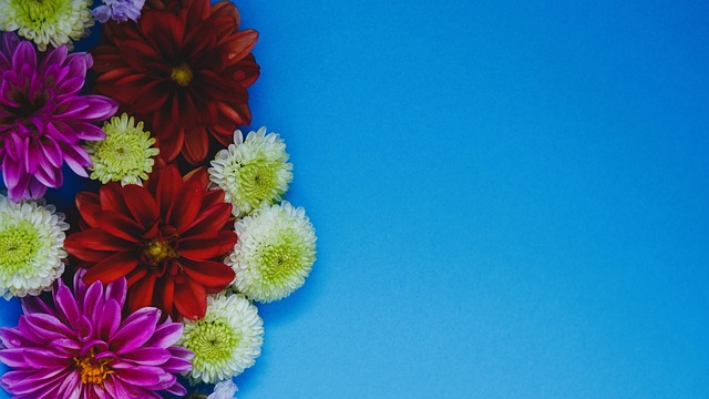 这个被寄予 这个被寄予