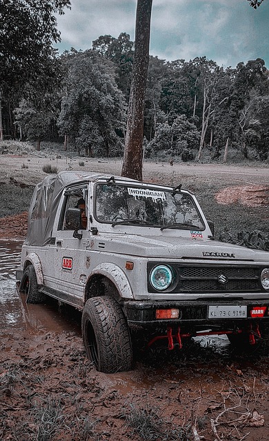 更为重要的 更为重要的