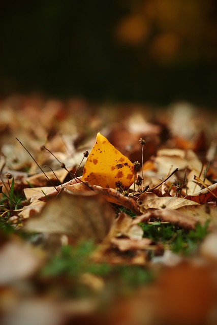 英超联赛 英超联赛