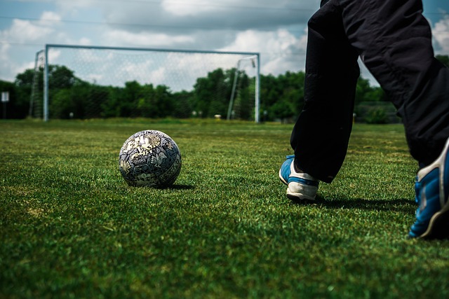 依靠其强大 依靠其强大