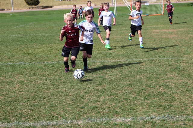 主教练图赫 主教练图赫