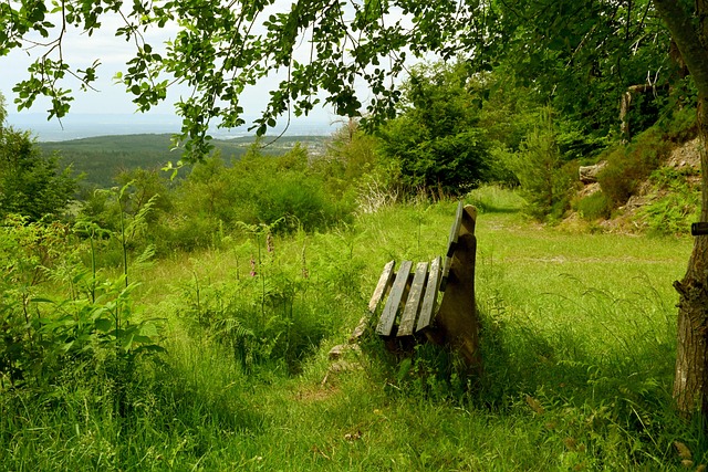 攻与防守兼 攻与防守兼