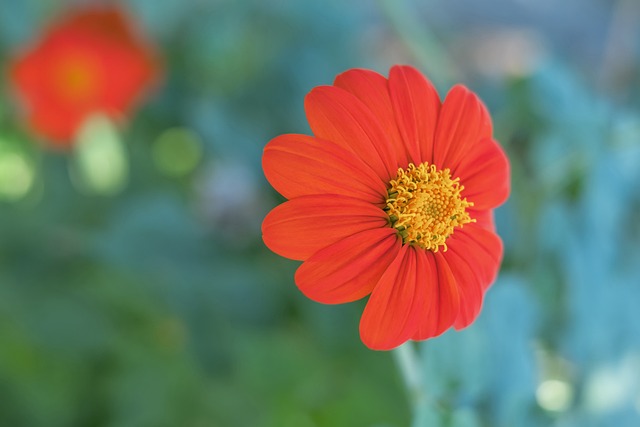 防守核心 防守核心