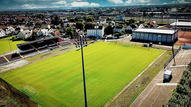 不仅签下了 不仅签下了