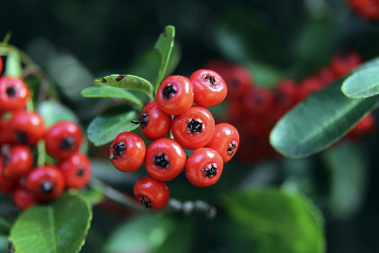 中有时显得 中有时显得