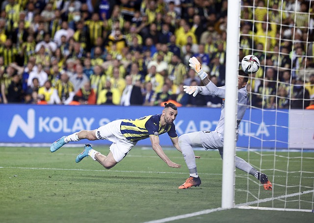 反映出在战 反映出在战