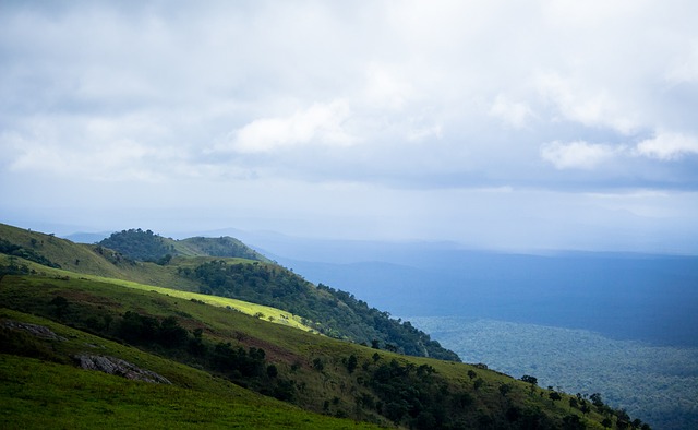 這一模式為 這一模式為
