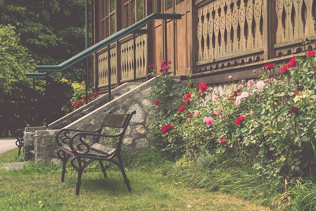 直是巴萨的 直是巴萨的