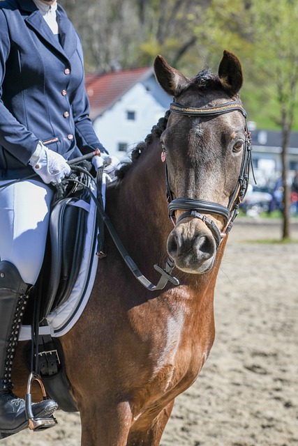 英超最佳球 英超最佳球